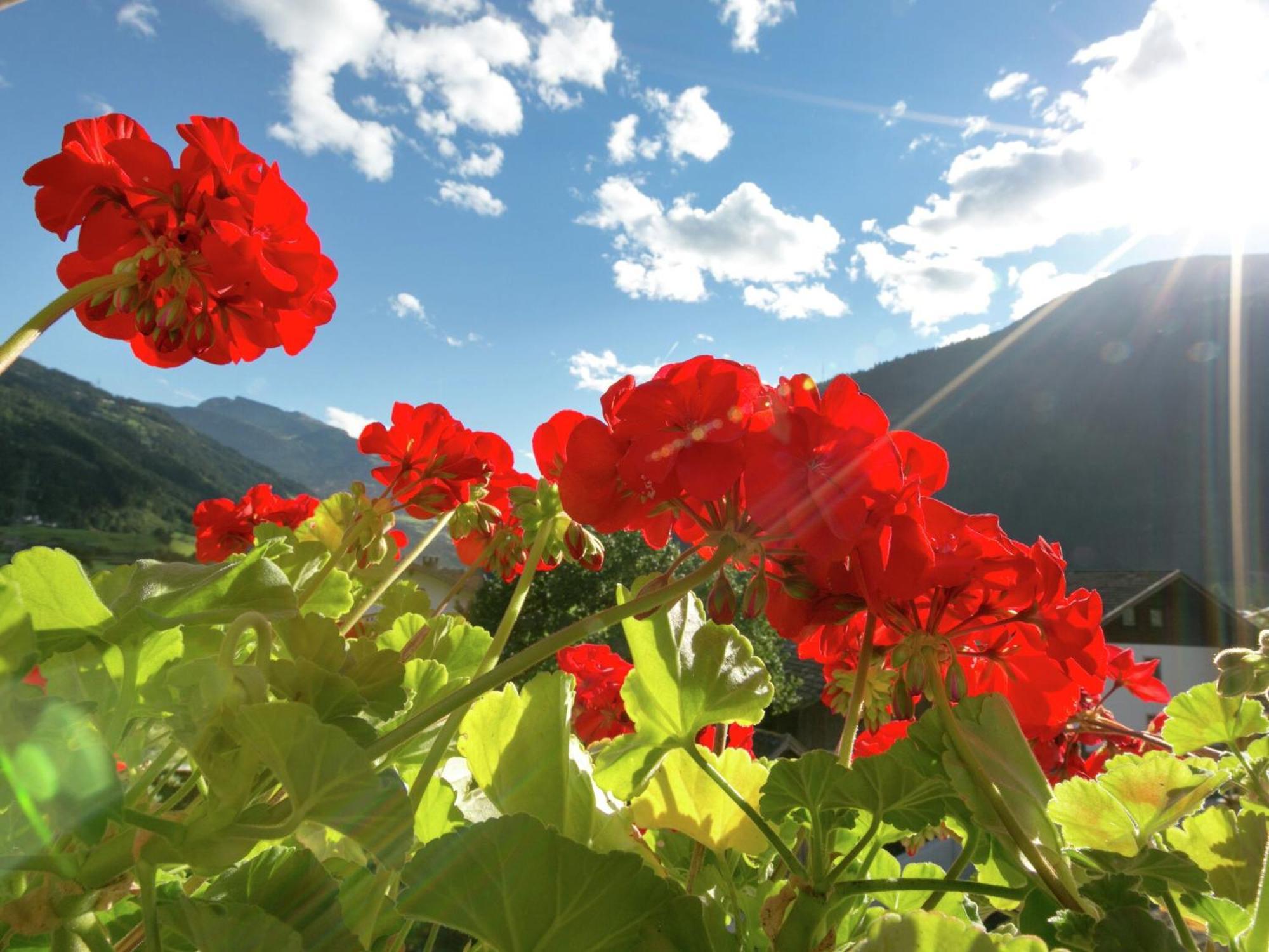 Apartment With Terrace In Aschau Im Zillertal Buitenkant foto